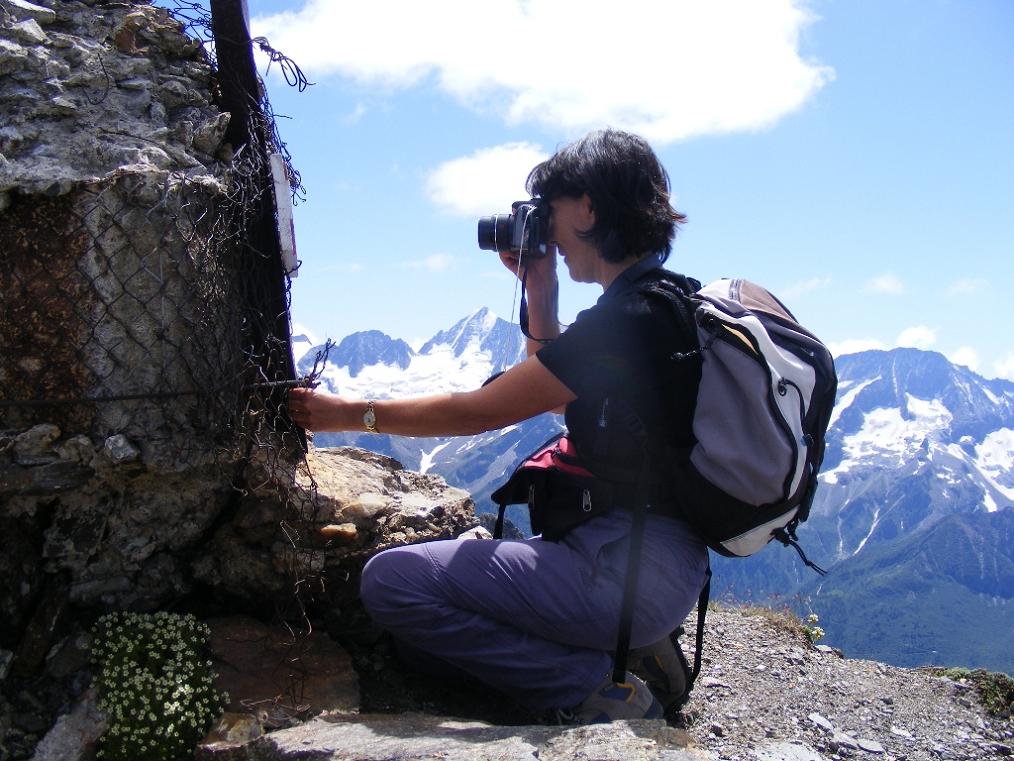 Il sentiero degli alpini del monte Albiolo